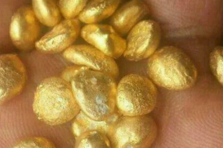 Raw Gold Nuggets from DR Congo